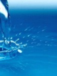 Ideas para jugar con los ni�os en el agua