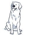 ¿Qué se le puede dar a un perro para el vómito?