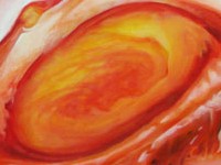 ¿Quién descubrió la gran mancha roja de júpiter?