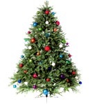 ¿Porqué se acostumbra poner árbol navidad?