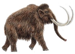 �C�mo era el mamut prehist�rico?