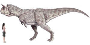 Principales caracter�sticas del dinosaurio Carnotaurus
