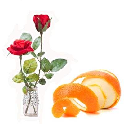 Mantener las flores del florero por m�s tiempo